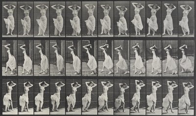 Animal Locomotion Platte 190 von Eadweard Muybridge